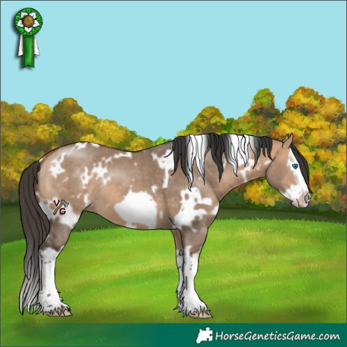Horse Color:White Spotted Bay Dun Splash Frame 