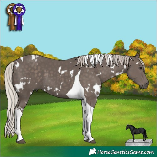 Horse Color:White Spotted Silver Black Tobiano 