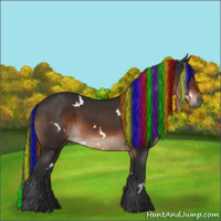 Horse Color:Painted White Spotted Brown