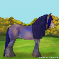 Horse Color:Sable Champagne 
