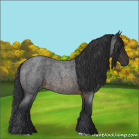 Horse Color:Brown Roan