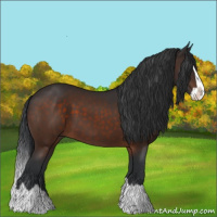 Horse Color:Brown Splash