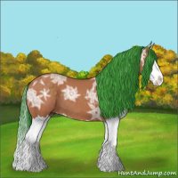 Horse Color:Watercolor Bay Ice Splash