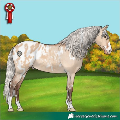 Horse Color:White Spotted Silver Bay Dun Appaloosa 