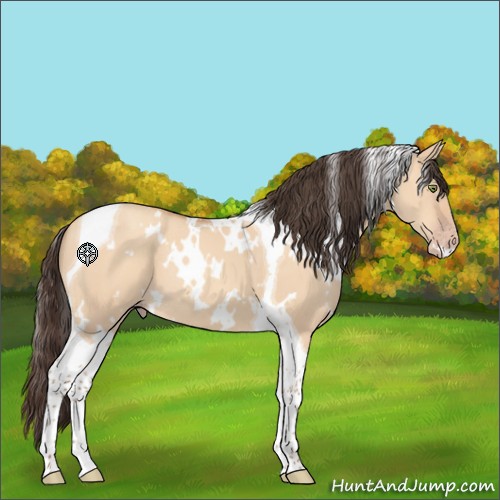 Horse Color:White Spotted Amber Champagne Dun Tobiano 