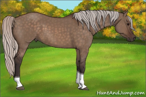 Horse Color:Silver Brown Dun Tobiano 