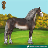 Horse Color:Silver Brown 