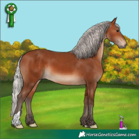 Horse Color:Silver Brown