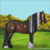 Horse Color:White Spotted Brown Tobiano 