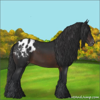 Horse Color:Brown Appaloosa