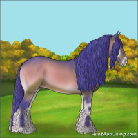 Horse Color:Watercolor Brown Onyx 