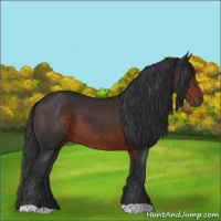 Horse Color:Brown 