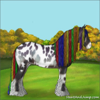 Horse Color:Painted Brown Onyx Near Leopard 