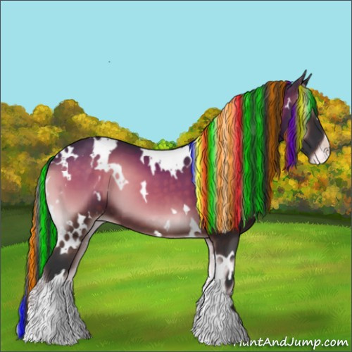 Horse Color:Painted White Spotted Brown Onyx Appaloosa 