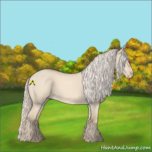 Horse Color:Cremello Dun 