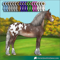 Horse Color:Silver Brown Blanket 