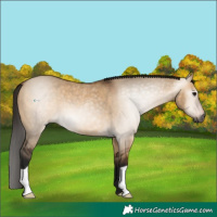 Horse Color:Gray Bay Dun