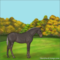 Horse Color:Silver Black 