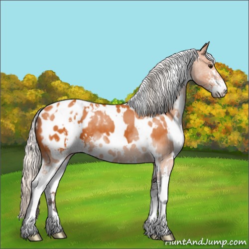 Horse Color:White Spotted Silver Buckskin Sabino Blanket 
