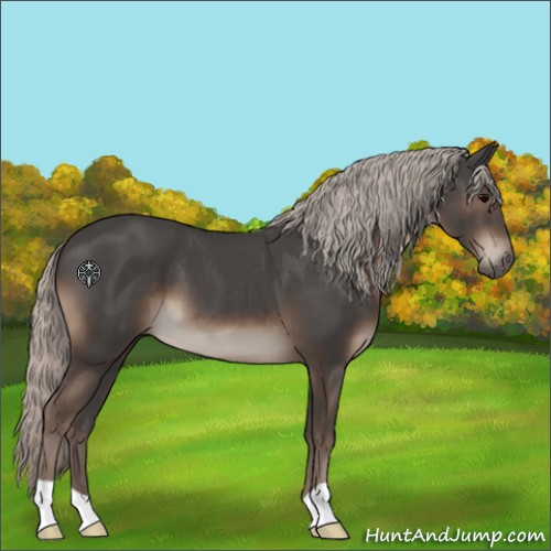 Horse Color:Silver Black 