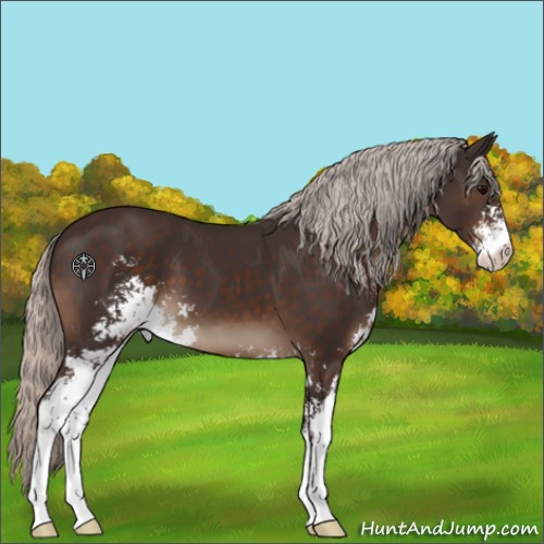 Horse Color:Silver Brown Sabino 