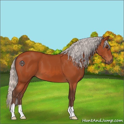 Horse Color:Silver Brown 