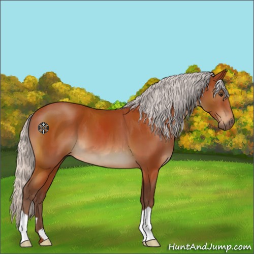 Horse Color:Silver Brown