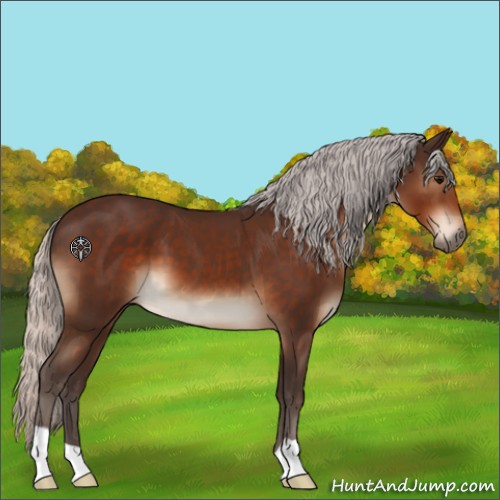 Horse Color:Silver Brown 