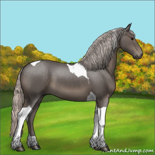 Horse Color:Silver Black Tobiano