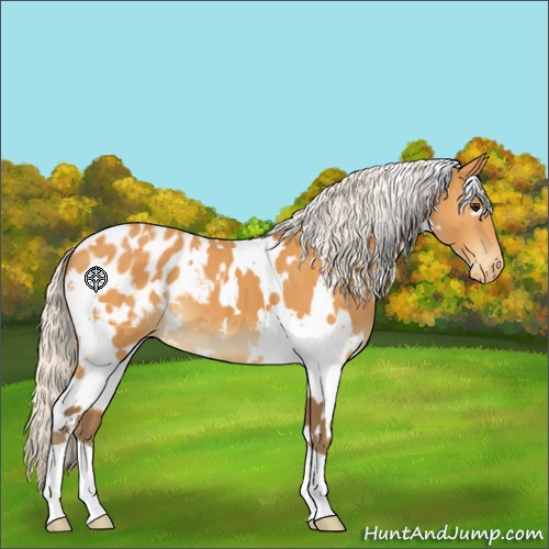 Horse Color:White Spotted Silver Buckskin Blanket 