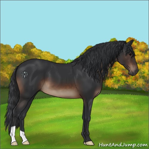 Horse Color:Brown 