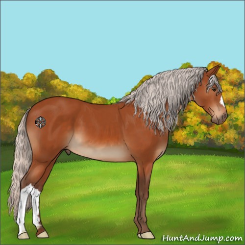 Horse Color:Silver Brown 