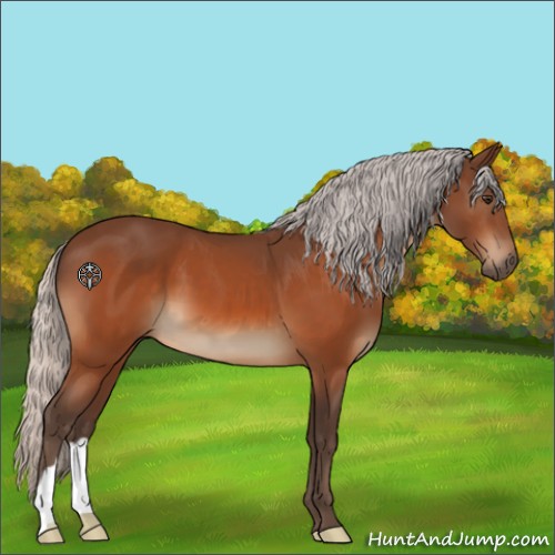 Horse Color:Silver Brown 