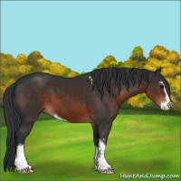 Horse Color:Brown Sabino 