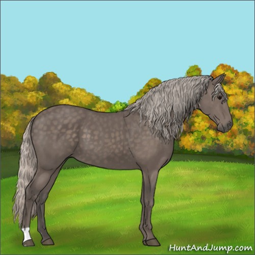 Horse Color:Silver Black 