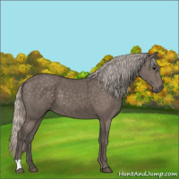 Horse Color:Silver Black 