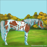 Horse Color:Thunderstruck Silver Bay Tobiano 