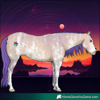 Horse Color:Watercolor Bay Dun Sabino 