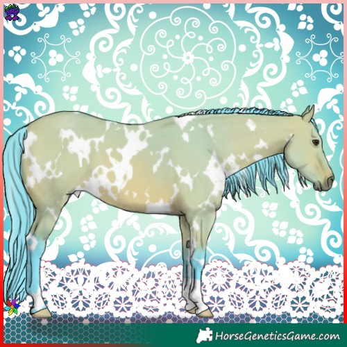 Horse Color:Watercolor White Spotted Bay Dun 