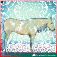 Horse Color:Watercolor White Spotted Bay Dun 