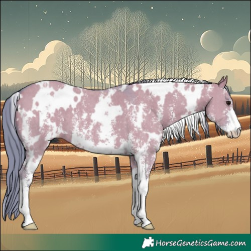 Horse Color:Watercolor White Spotted Grullo Sabino 
