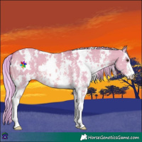 Horse Color:Watercolor White Spotted Red Dun Sabino 