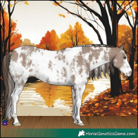 Horse Color:White Spotted Liver Red Dun Sabino