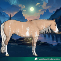 Horse Color:Silver Bay Dun Sabino 