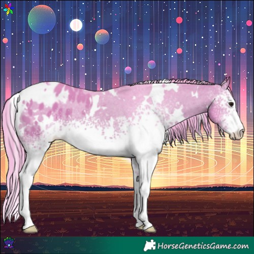 Horse Color:Watercolor White Spotted Bay Appaloosa 