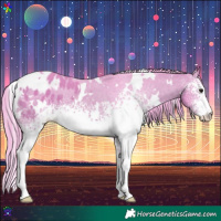 Horse Color:Watercolor White Spotted Bay Appaloosa 