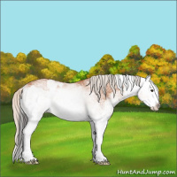 Horse Color:White Spotted Bay Splash  and White Spotted Silver Bay Splash 