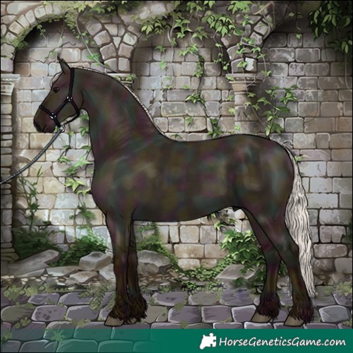 Horse Color:Midnight Silver Grullo 
