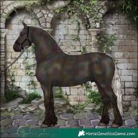 Horse Color:Midnight Silver Grullo 
