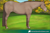 Horse Color:Classic Champagne  and Classic Champagne 